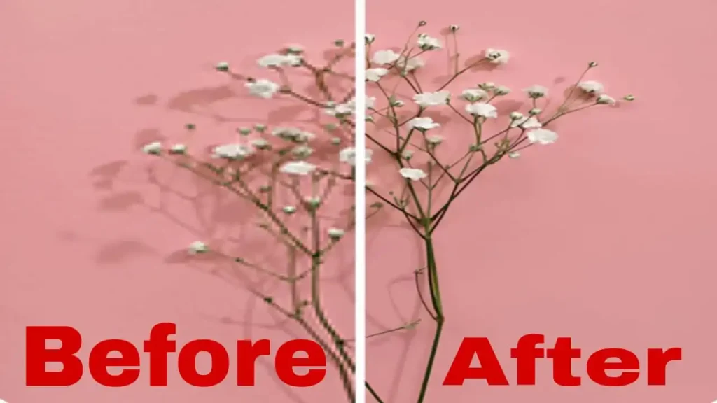 remini for pc Remini for pc